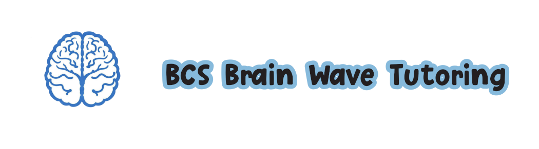 BCS Brain Wave Logo
